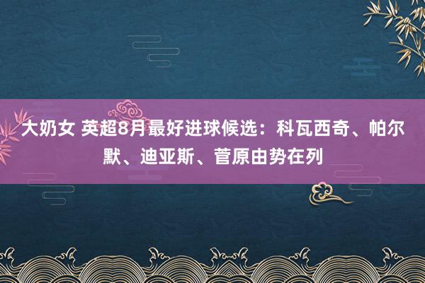 大奶女 英超8月最好进球候选：科瓦西奇、帕尔默、迪亚斯、菅原由势在列